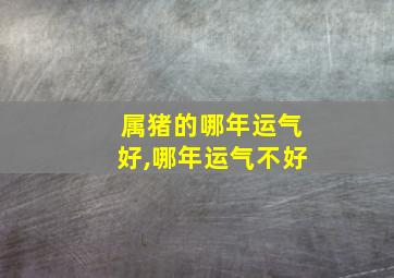 属猪的哪年运气好,哪年运气不好