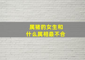 属猪的女生和什么属相最不合