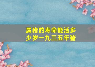 属猪的寿命能活多少岁一九三五年猪