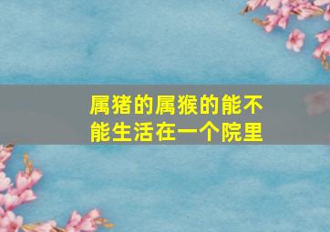 属猪的属猴的能不能生活在一个院里