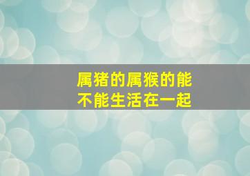 属猪的属猴的能不能生活在一起