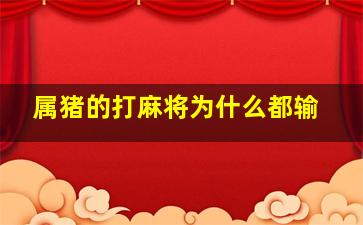 属猪的打麻将为什么都输