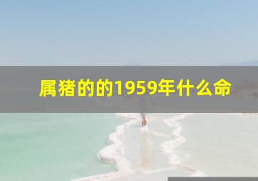 属猪的的1959年什么命