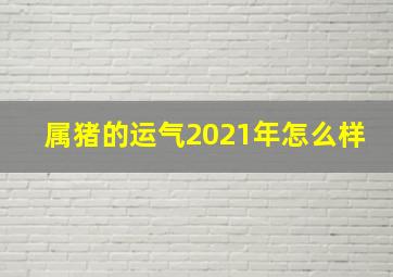 属猪的运气2021年怎么样