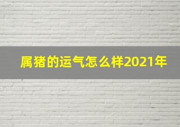 属猪的运气怎么样2021年