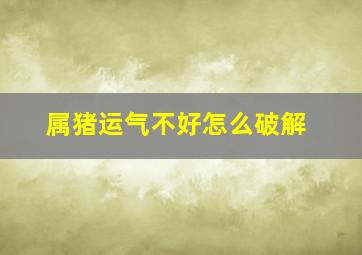 属猪运气不好怎么破解