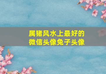 属猪风水上最好的微信头像兔子头像