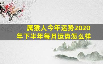 属猴人今年运势2020年下半年每月运势怎么样