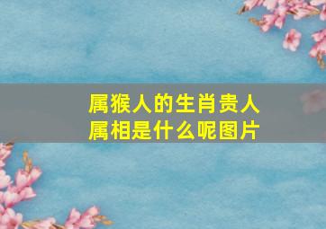 属猴人的生肖贵人属相是什么呢图片