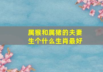 属猴和属猪的夫妻生个什么生肖最好