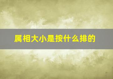 属相大小是按什么排的