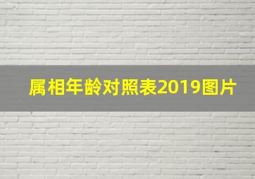 属相年龄对照表2019图片