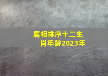 属相排序十二生肖年龄2023年