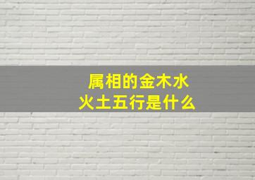 属相的金木水火土五行是什么