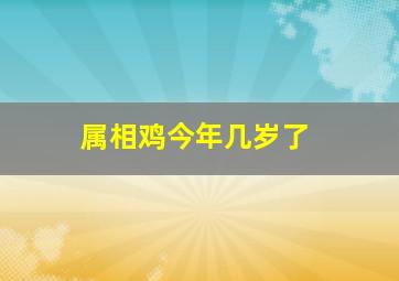 属相鸡今年几岁了