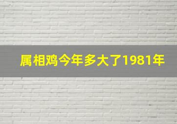 属相鸡今年多大了1981年