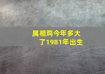 属相鸡今年多大了1981年出生