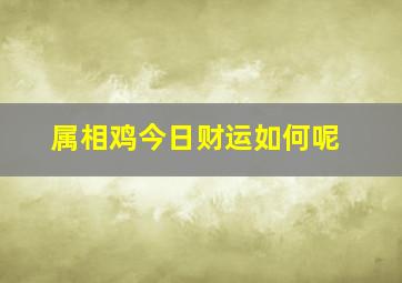 属相鸡今日财运如何呢