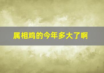 属相鸡的今年多大了啊