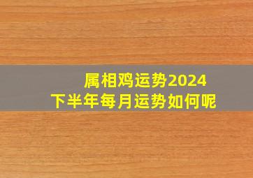 属相鸡运势2024下半年每月运势如何呢