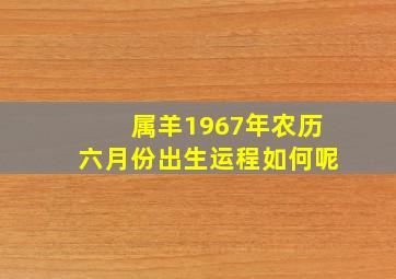 属羊1967年农历六月份出生运程如何呢