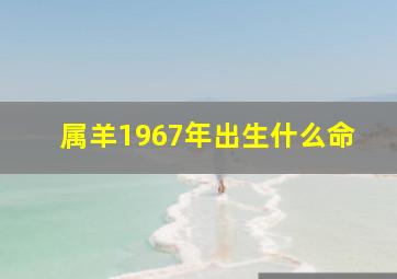 属羊1967年出生什么命