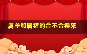 属羊和属猪的合不合得来