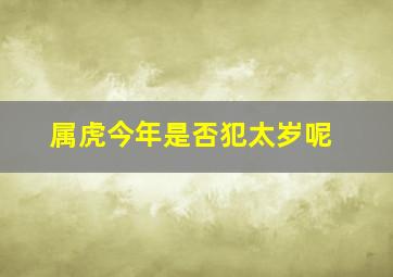 属虎今年是否犯太岁呢