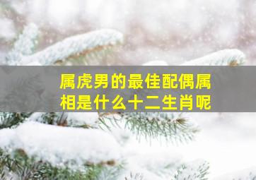 属虎男的最佳配偶属相是什么十二生肖呢