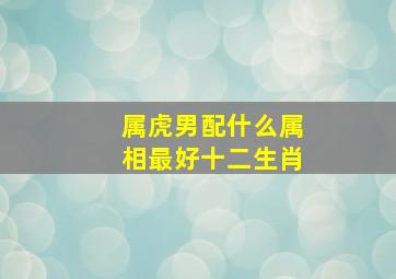 属虎男配什么属相最好十二生肖