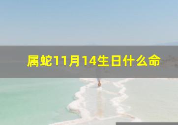 属蛇11月14生日什么命