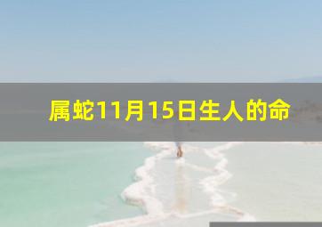 属蛇11月15日生人的命