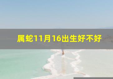 属蛇11月16出生好不好