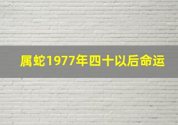 属蛇1977年四十以后命运