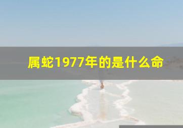 属蛇1977年的是什么命