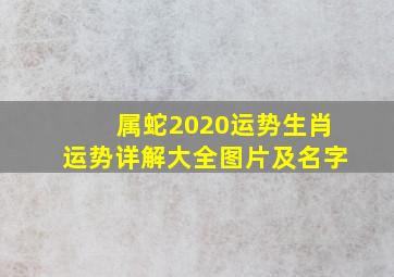 属蛇2020运势生肖运势详解大全图片及名字