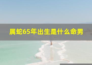 属蛇65年出生是什么命男