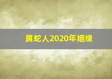 属蛇人2020年姻缘