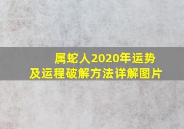 属蛇人2020年运势及运程破解方法详解图片