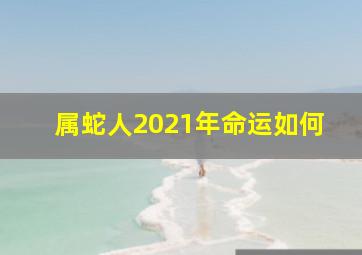 属蛇人2021年命运如何