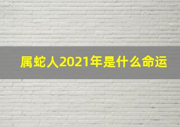 属蛇人2021年是什么命运