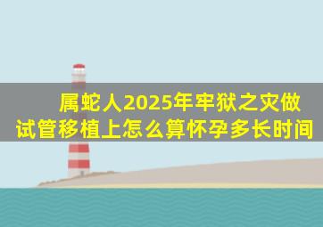 属蛇人2025年牢狱之灾做试管移植上怎么算怀孕多长时间