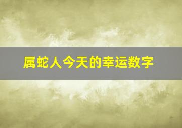 属蛇人今天的幸运数字