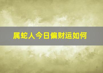 属蛇人今日偏财运如何