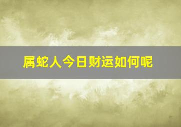 属蛇人今日财运如何呢