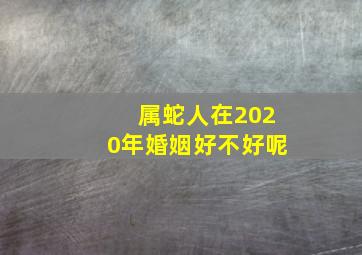 属蛇人在2020年婚姻好不好呢