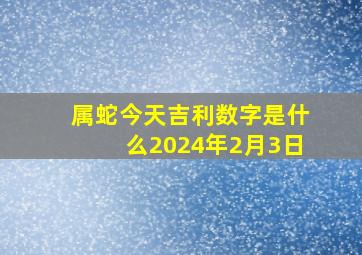 属蛇今天吉利数字是什么2024年2月3日