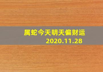 属蛇今天明天偏财运2020.11.28