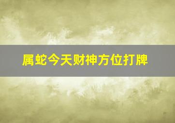 属蛇今天财神方位打牌