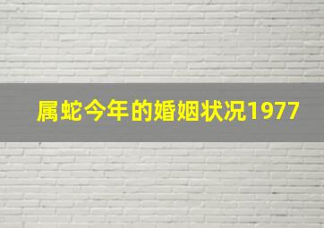 属蛇今年的婚姻状况1977